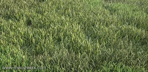 Modelos 3D Gratis XIV | Pasto | ejeZeta