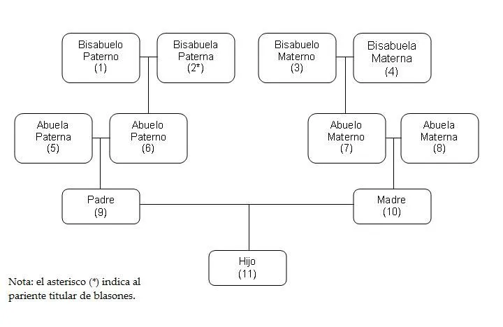 Modelos de arbol genealogico para hacer - Imagui Modelos de arbol genealogico para hacer - Imagui