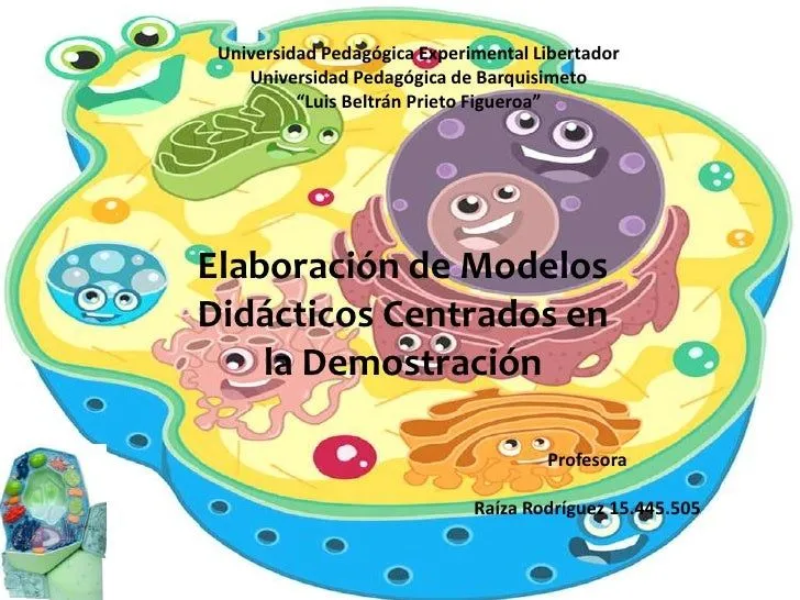 Modelos didacticos