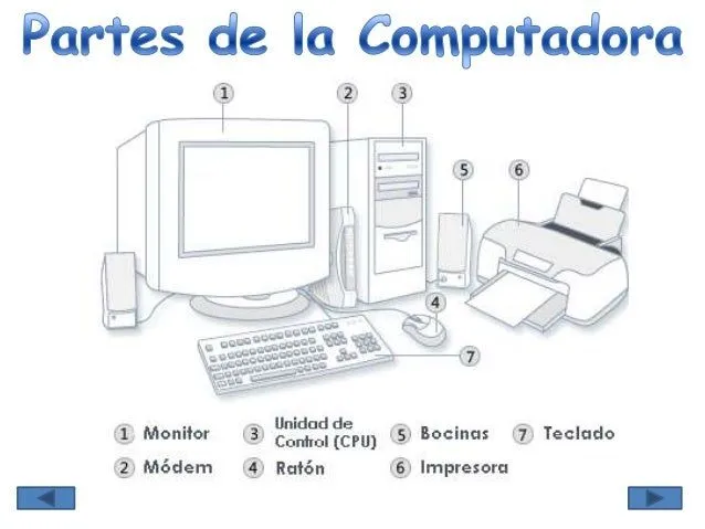 mdulo-instruccional-partes-de- ...