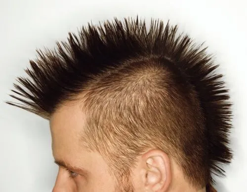 Mohicanos de hoy