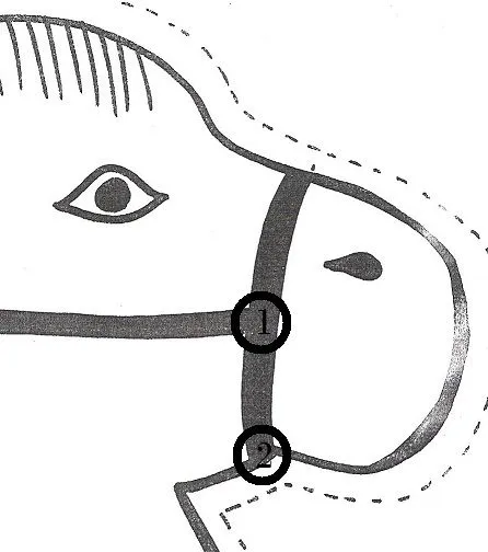 Como hacer una cabeza de caballo con fomi - Imagui Como hacer una cabeza de caballo con fomi - Imagui