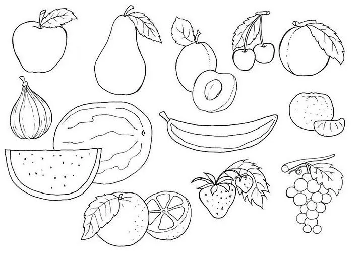 Marcia Cristina: Frutas em E. V. A.