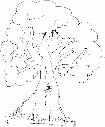 Moldes de arboles en foami - Imagui