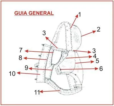 Moldes y confección. Ropa para perros … | Pinterest Moldes y confección. Ropa para perros … | Pinterest