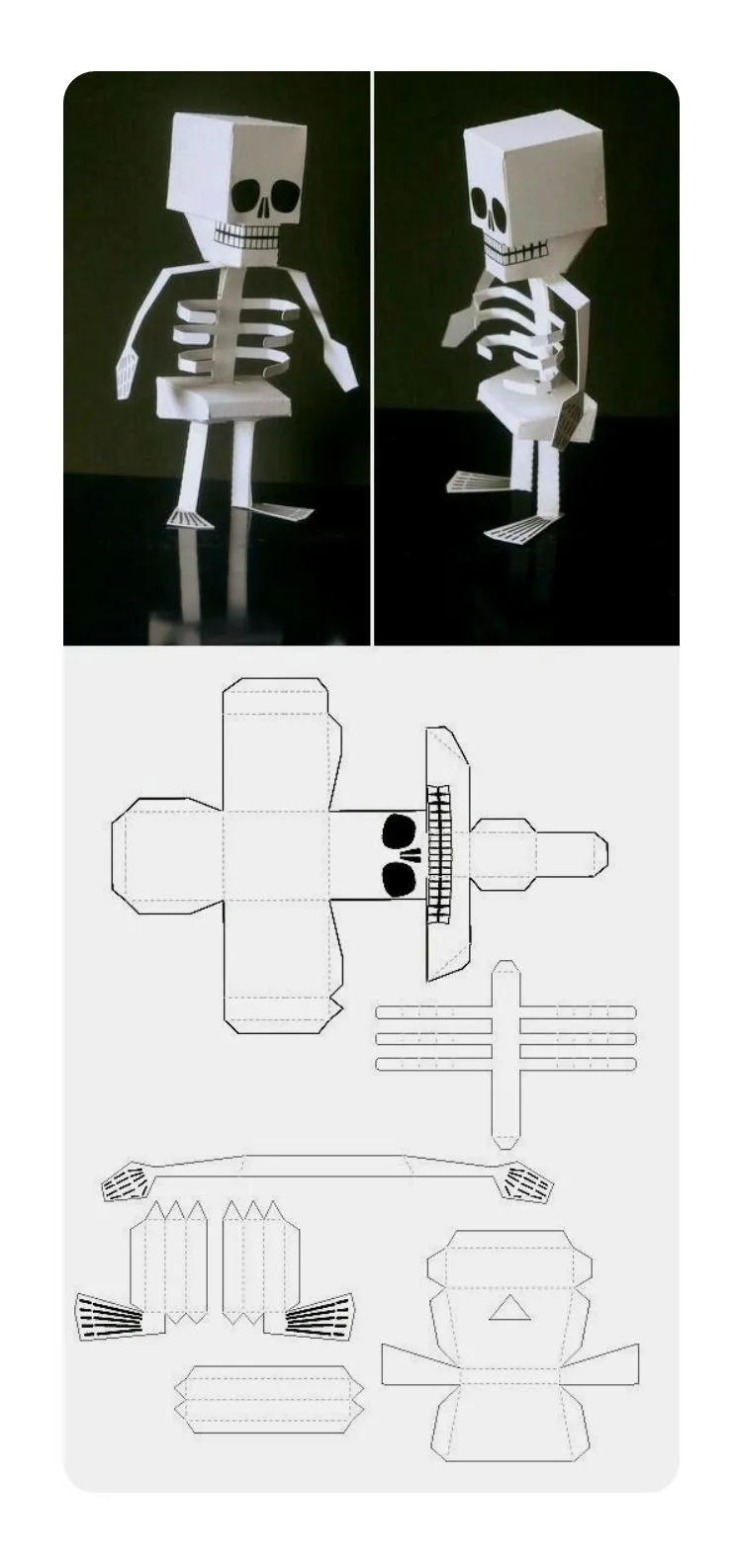 MOLDES PARA CONSTRUIR ESQUELETOS – Ciencias Biológicas