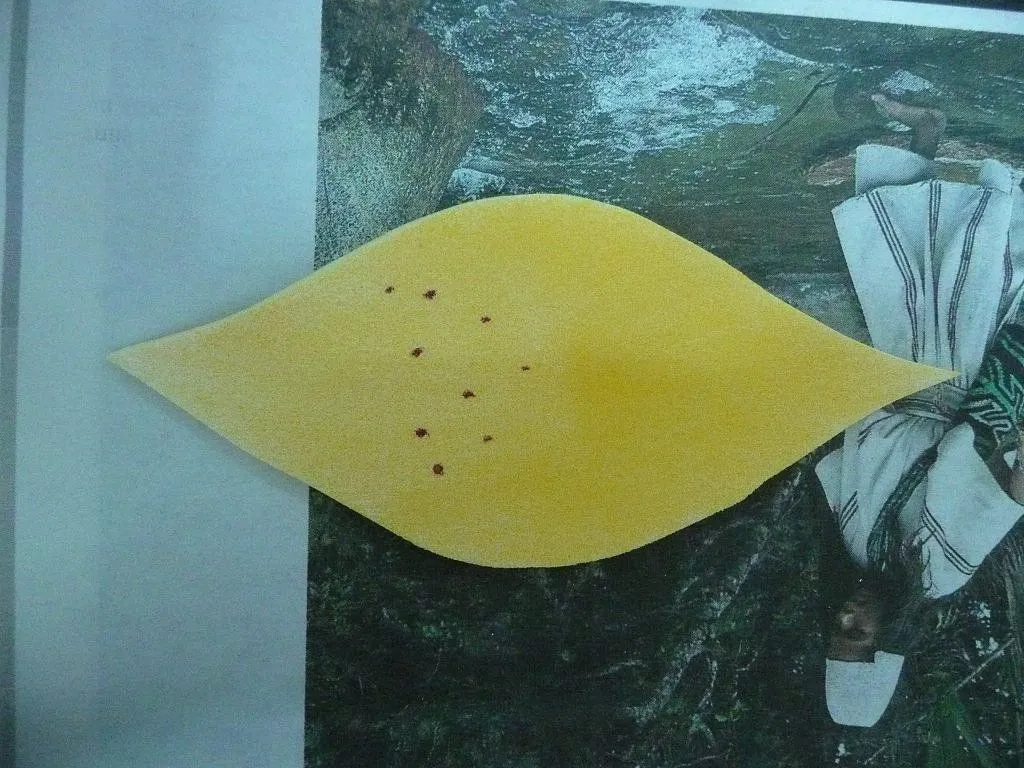 Moldes de lirios en foami - Imagui