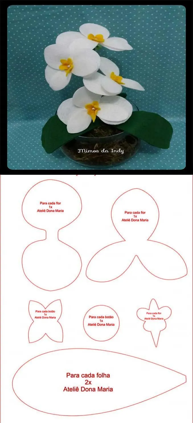 Moldes para hacer orquidias de fieltrocon moldes | Plantillas para flores de papel, Suculentas de fieltro, Manualidades Moldes para hacer orquidias de fieltrocon moldes | Plantillas para flores de papel, Suculentas de fieltro, Manualidades
