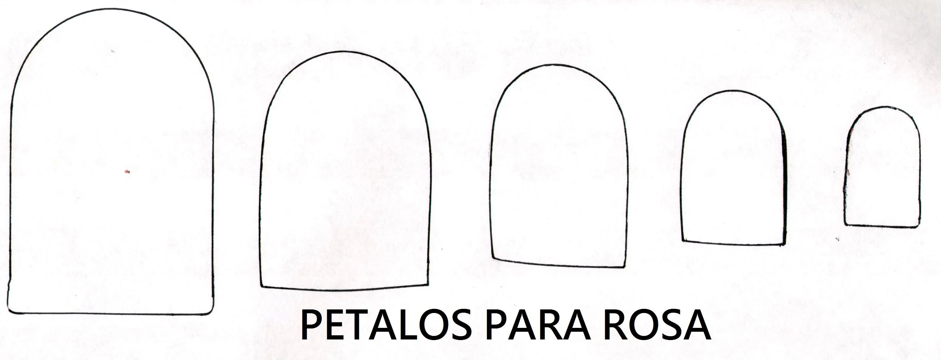 COMPAÑERAS QUIEN TIENE PASO A PASO DE FLORES DE FOMI COMPAÑERAS QUIEN TIENE PASO A PASO DE FLORES DE FOMI