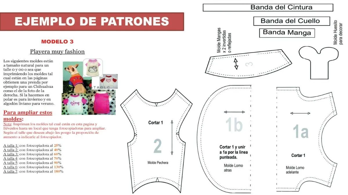 Moldes Para Ropa De Perros Gratis 9E5 | Ropa para perros, Patrones de ropa, Hacer ropa de perro Moldes Para Ropa De Perros Gratis 9E5 | Ropa para perros, Patrones de ropa, Hacer ropa de perro