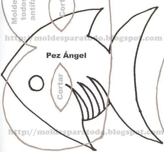 Pez ángel -