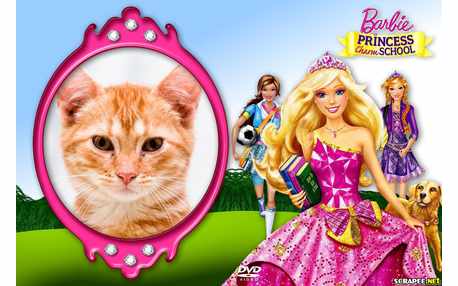 Moldura Barbie Escola de Princesas