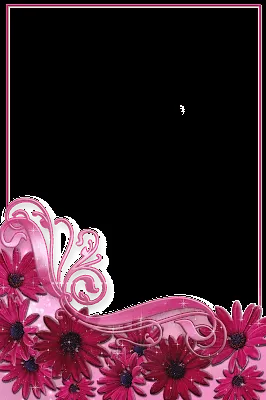02 molduras lindas com flores (PNG) | Amanhã é outro dia: molduras ...