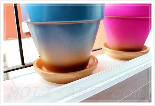 MOLI-ART | Beauty Blog: DIY: Maceteros de colores