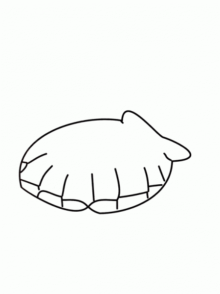 molusco-almeja | Dibujos y juegos, para pintar y colorear molusco-almeja | Dibujos y juegos, para pintar y colorear
