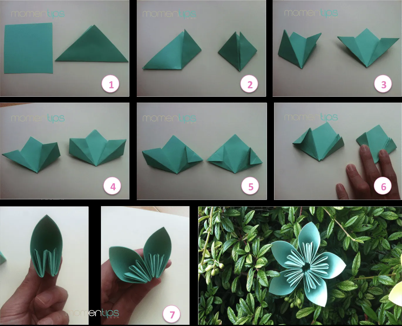 Momentips: DIY #6: Flores de papel Momentips: DIY #6: Flores de papel