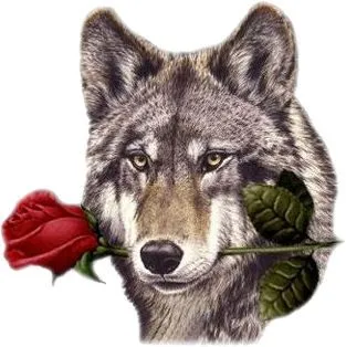 Momentos que te regala la vida: LA PESTAÑA DEL LOBO Momentos que te regala la vida: LA PESTAÑA DEL LOBO