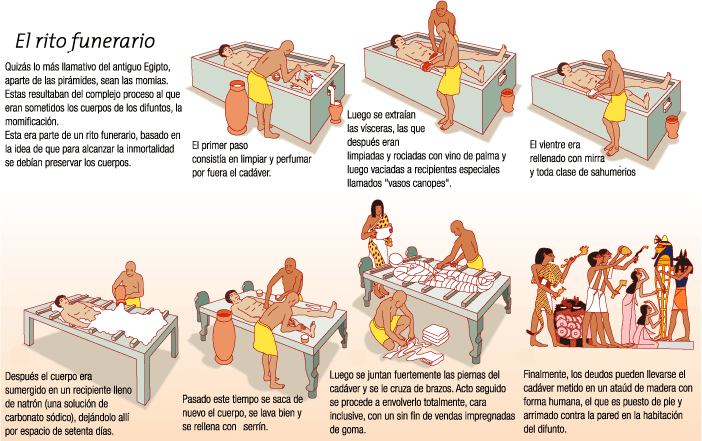 Cómo se hace una momia? : EN CLASE