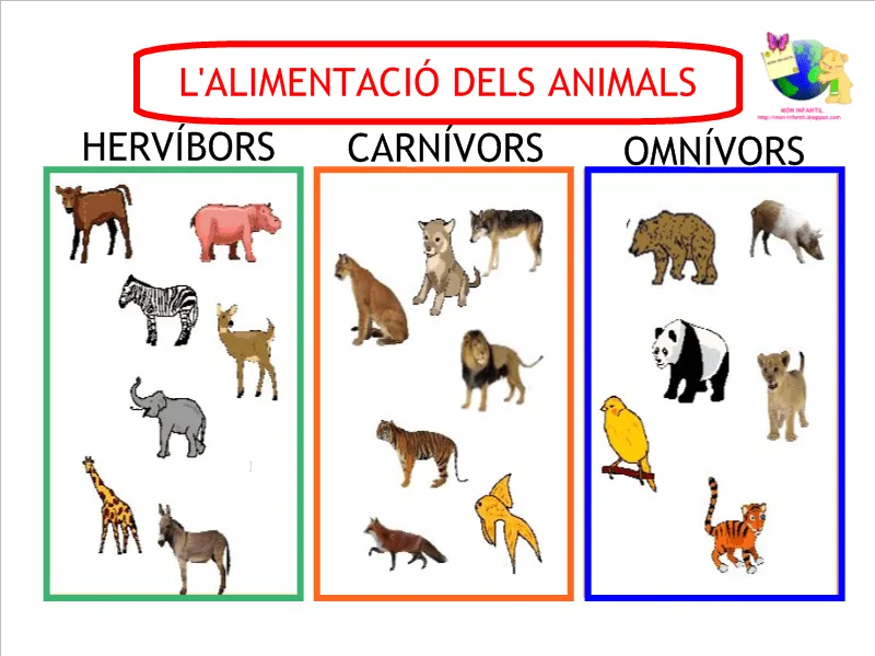 MÓN INFANTIL* y ciclo inicial: PROYECTO SERES VIVOS: la alimentación de los animales MÓN INFANTIL* y ciclo inicial: PROYECTO SERES VIVOS: la alimentación de los animales