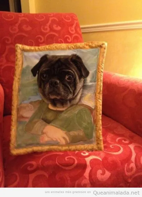 Mona Lisa | ¡Qué animalada! | Las fotos, los vídeos y los gifs más ...