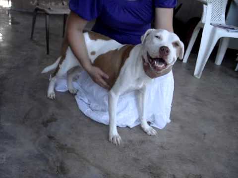 Mona - YouTube
