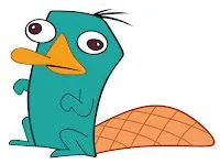 una parte de mi: imágenes de perry el ornitorrinco una parte de mi: imágenes de perry el ornitorrinco
