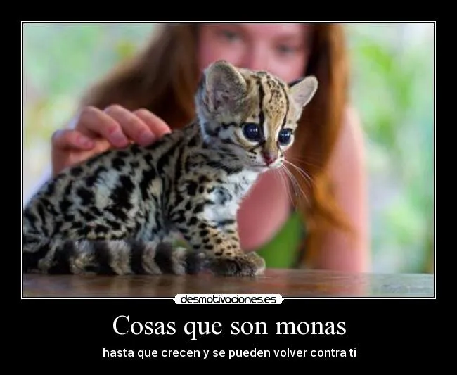 Cosas que son monas | Desmotivaciones