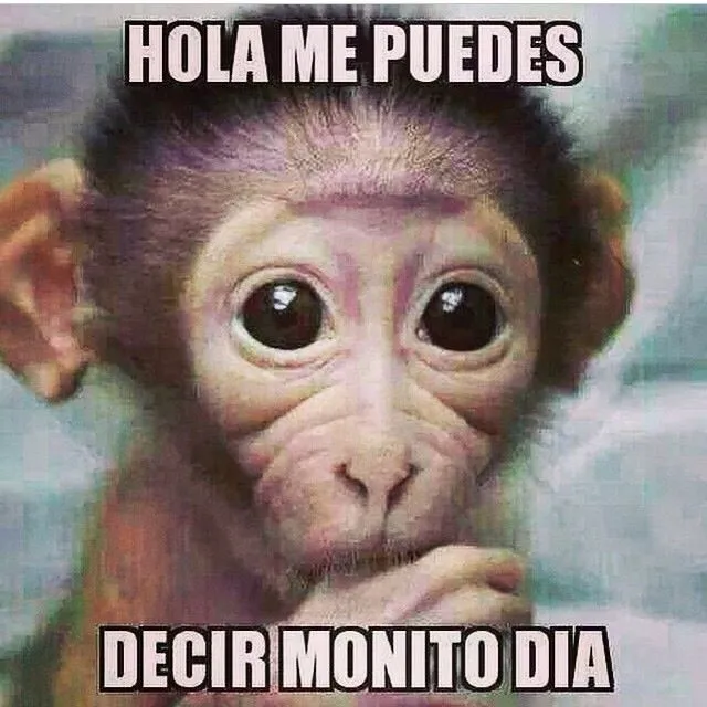 Monito día. | frases .. & quotes lol | Pinterest