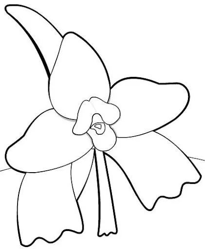 Imagen de la monja blanca para colorear - Imagui Imagen de la monja blanca para colorear - Imagui