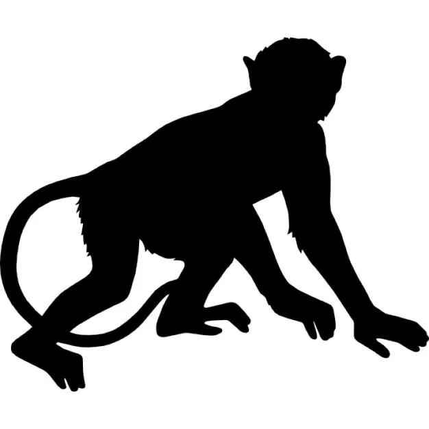 Mono | Descargar Iconos gratis