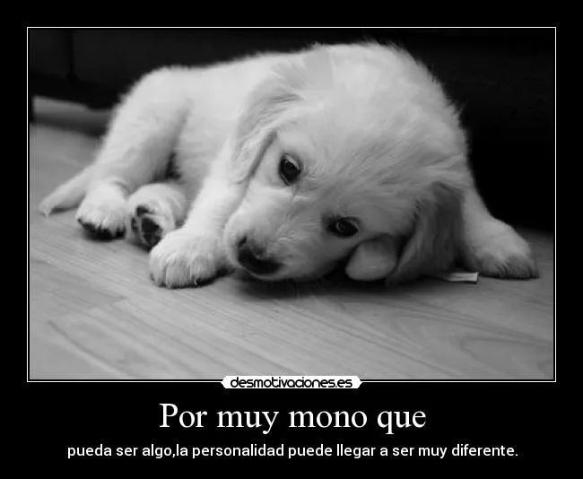 Por muy mono que | Desmotivaciones
