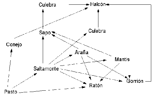 Monografías. Ciencia y tecnología :: 100cia.com