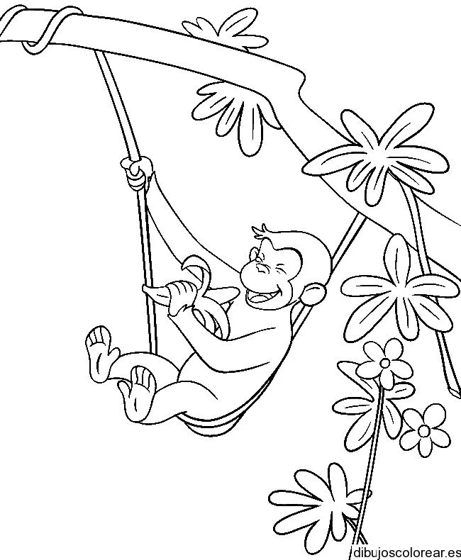 Monos | Dibujos para Colorear