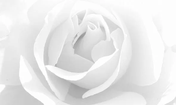MONO DE LUTO COLOR BLANCO | TODO PARA FACEBOOK IMAGENES PARA ... MONO DE LUTO COLOR BLANCO | TODO PARA FACEBOOK IMAGENES PARA ...