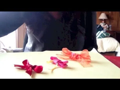 Como hacer moños para perro (3 estilos distintos) - YouTube Como hacer moños para perro (3 estilos distintos) - YouTube