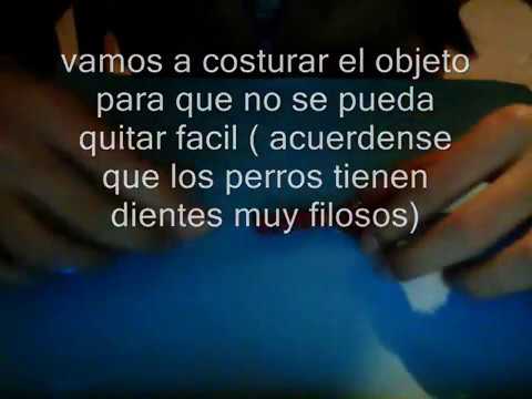 como hacer moños para perros ¡¡ :) XD muy facil.. - YouTube