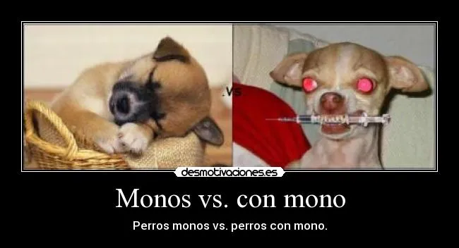 Monos vs. con mono | Desmotivaciones