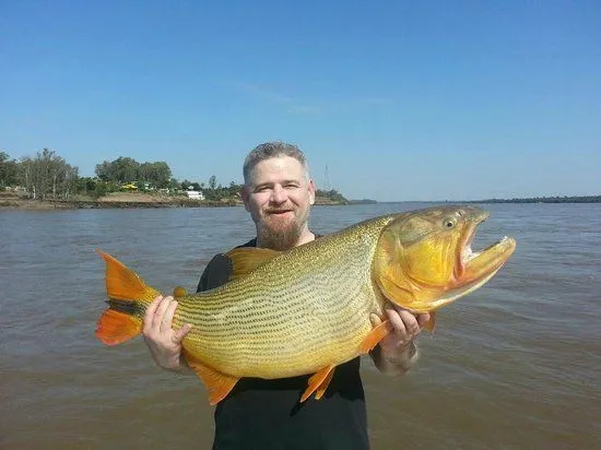Monster Dorado: fotografía de Best Dorado Fishing, Salto - TripAdvisor