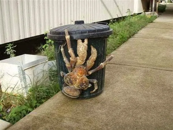 Monstruos Reales.. Imagenes. - Taringa!