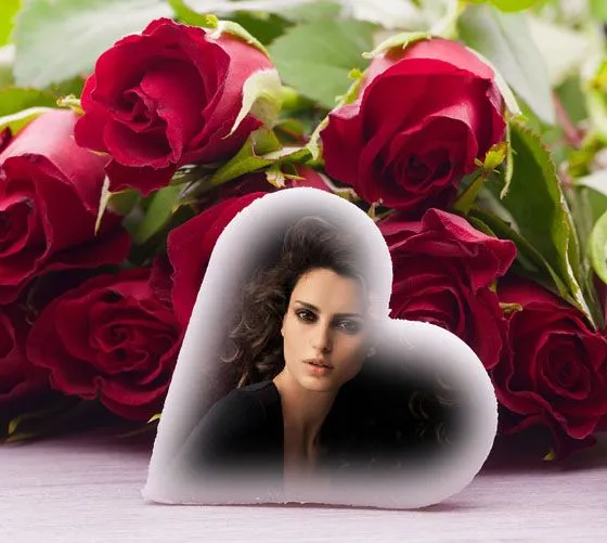 montajes-fotograficos-rosas- ...