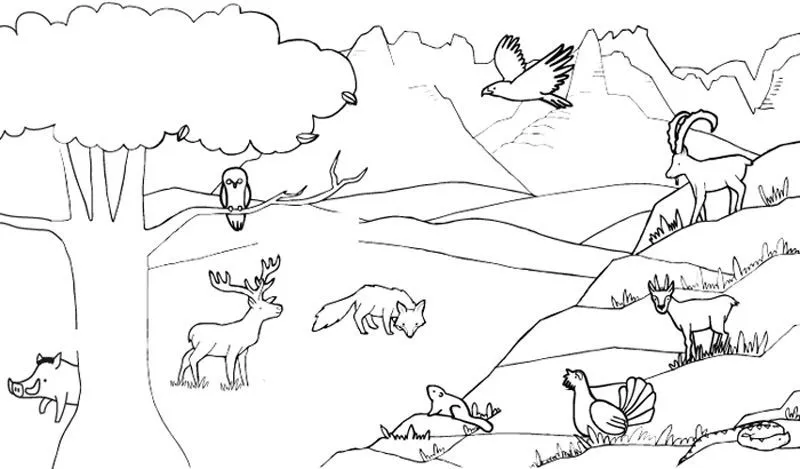 de la montaña: dibujo para colorear e imprimir de la montaña: dibujo para colorear e imprimir
