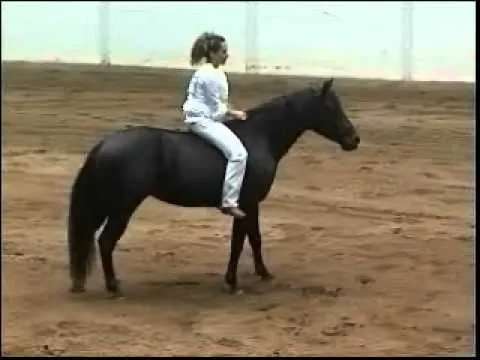 ESTO ES SABER MONTAR A CABALLO, ESTO SI ES UN JINETE ...GAM. - YouTube