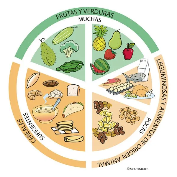 Dibujo el plato del buen comer para colorear - Imagui