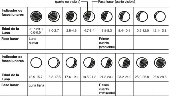 MOON_PHASE_DISPLAY - Indicador de las fases lunares - Relojes ...