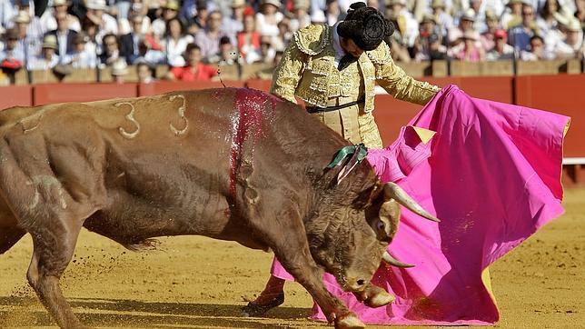 Morante y Talavante, desafío de dos gladiadores toreros en la ... Morante y Talavante, desafío de dos gladiadores toreros en la ...