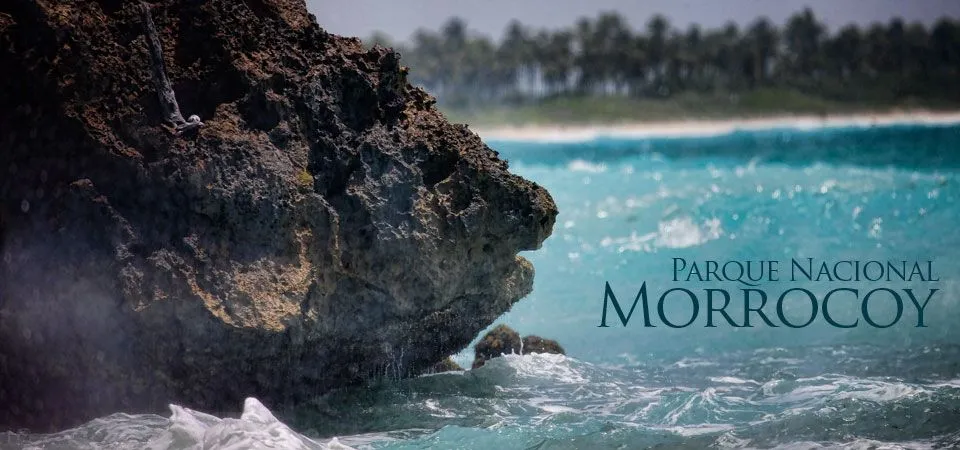 morrocoy1.jpg