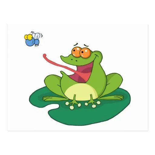 Mosca de cogida de la rana del dibujo animado postales de Zazzle.