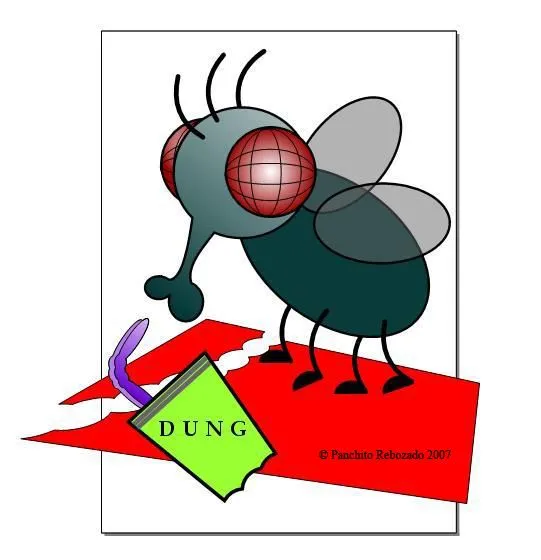 Mosca animadas - Imagui