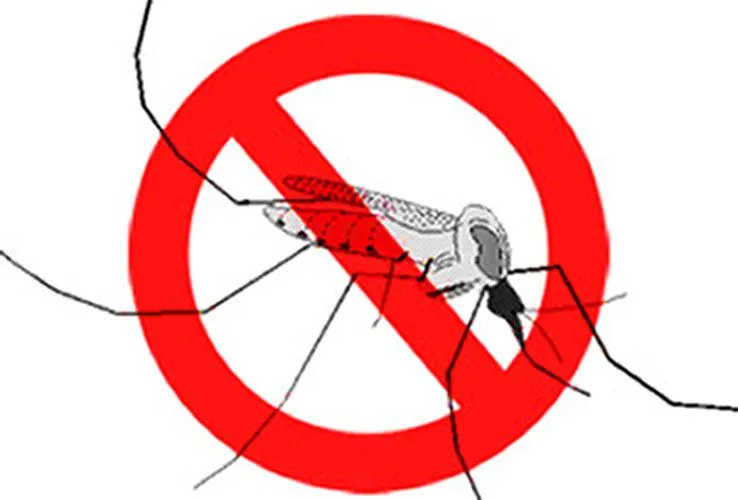 Mosquito Aedes aegypti | cdcnuestrapagina