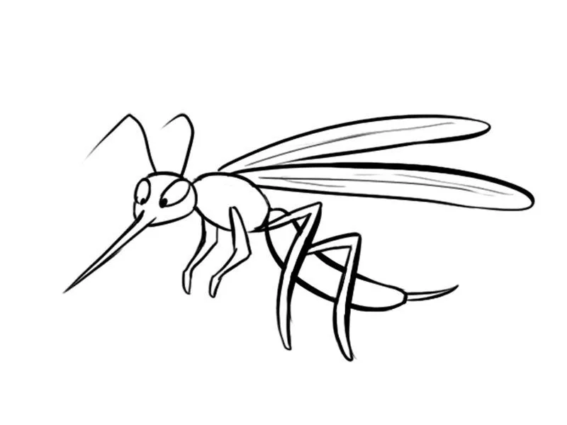 El mosquito del dengue para colorear - Imagui El mosquito del dengue para colorear - Imagui